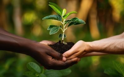Como a Energia Solar Reduz a Pegada de Carbono da Sua Casa